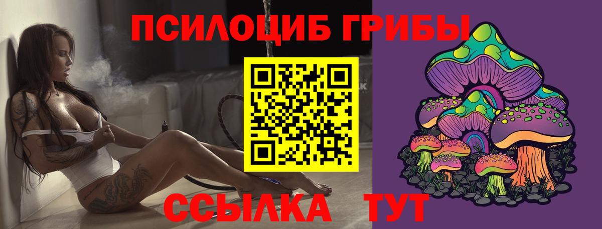 что такое   Вход с VPN  Сухой Лог  Псилоцибиновые грибы прущие грибы  Галлюциногенные грибы GOLDEN TEACHER 